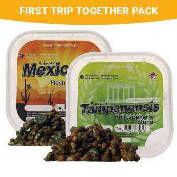 Pack « Premier voyage ensemble » de truffes magiques