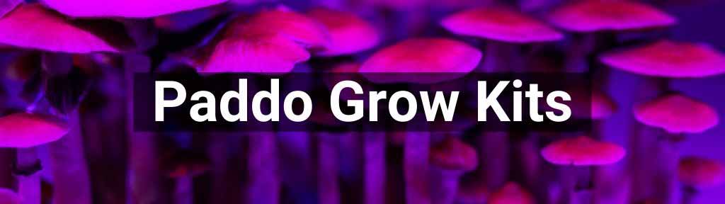 Paddo grow kits - kweeksets