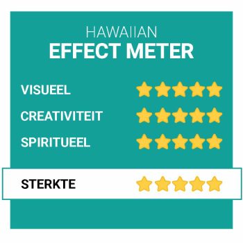 Efectos hawaianos - Smartific.nl