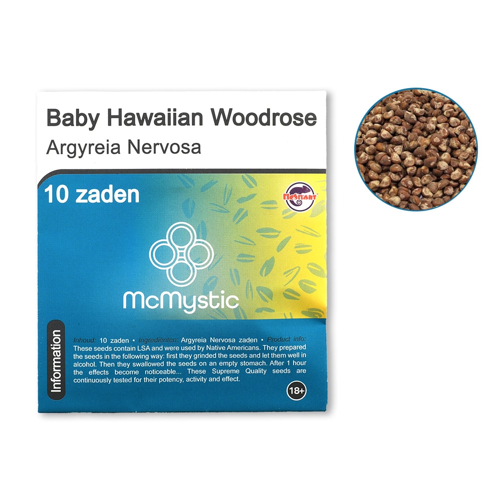 Baby Hawaiian Woodrose 10 Seeds - Front View + Contents - McMystic