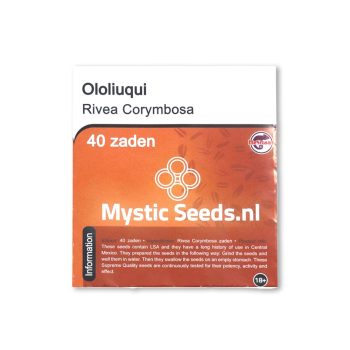 Ololiuqui 40 seeds Front view McMystic