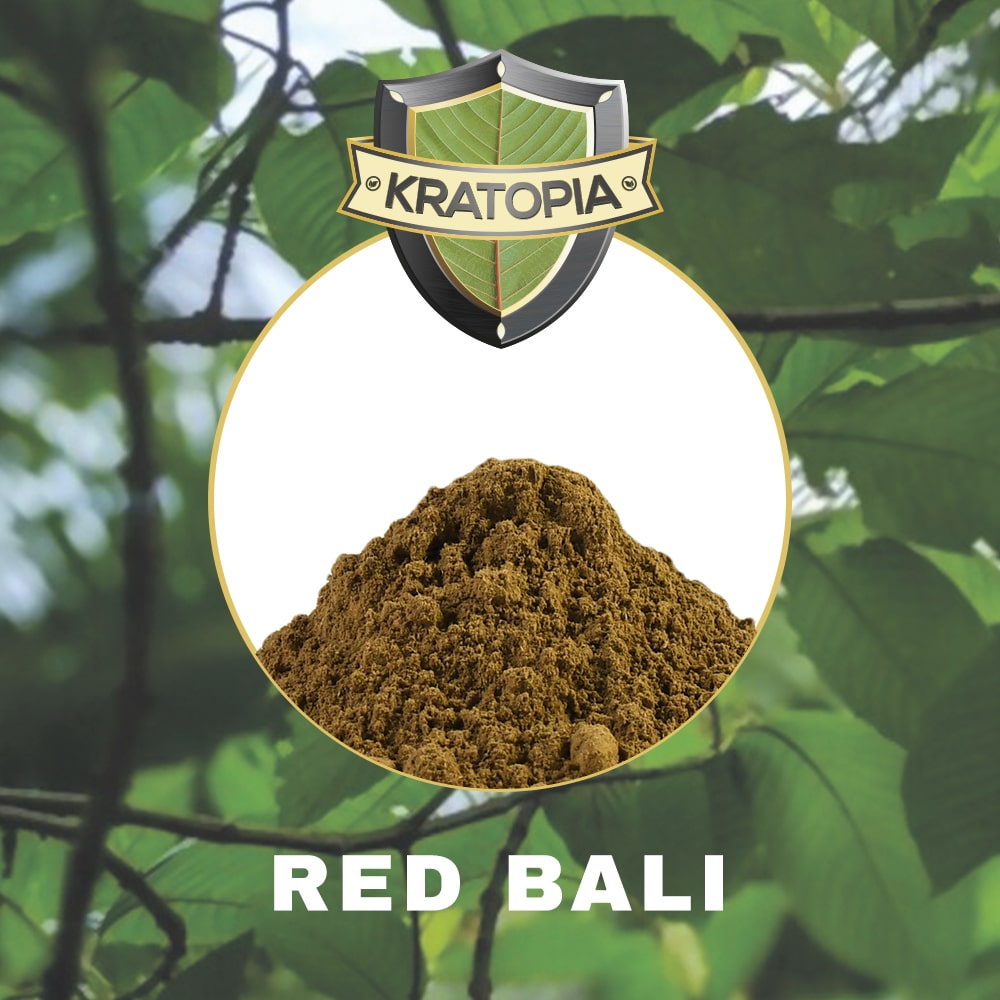 Inhalt von Bali Kratom Kratopia