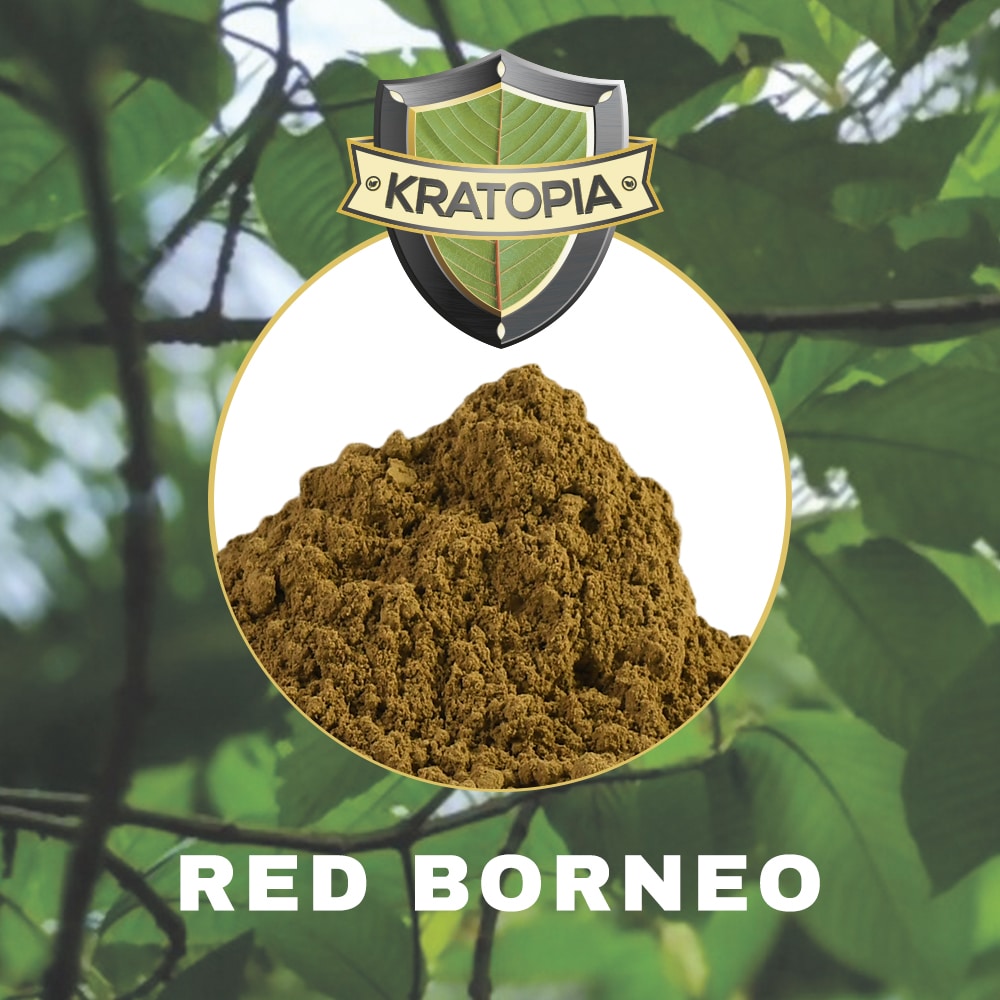 Inhalt von Borneo Kratom Kratopia