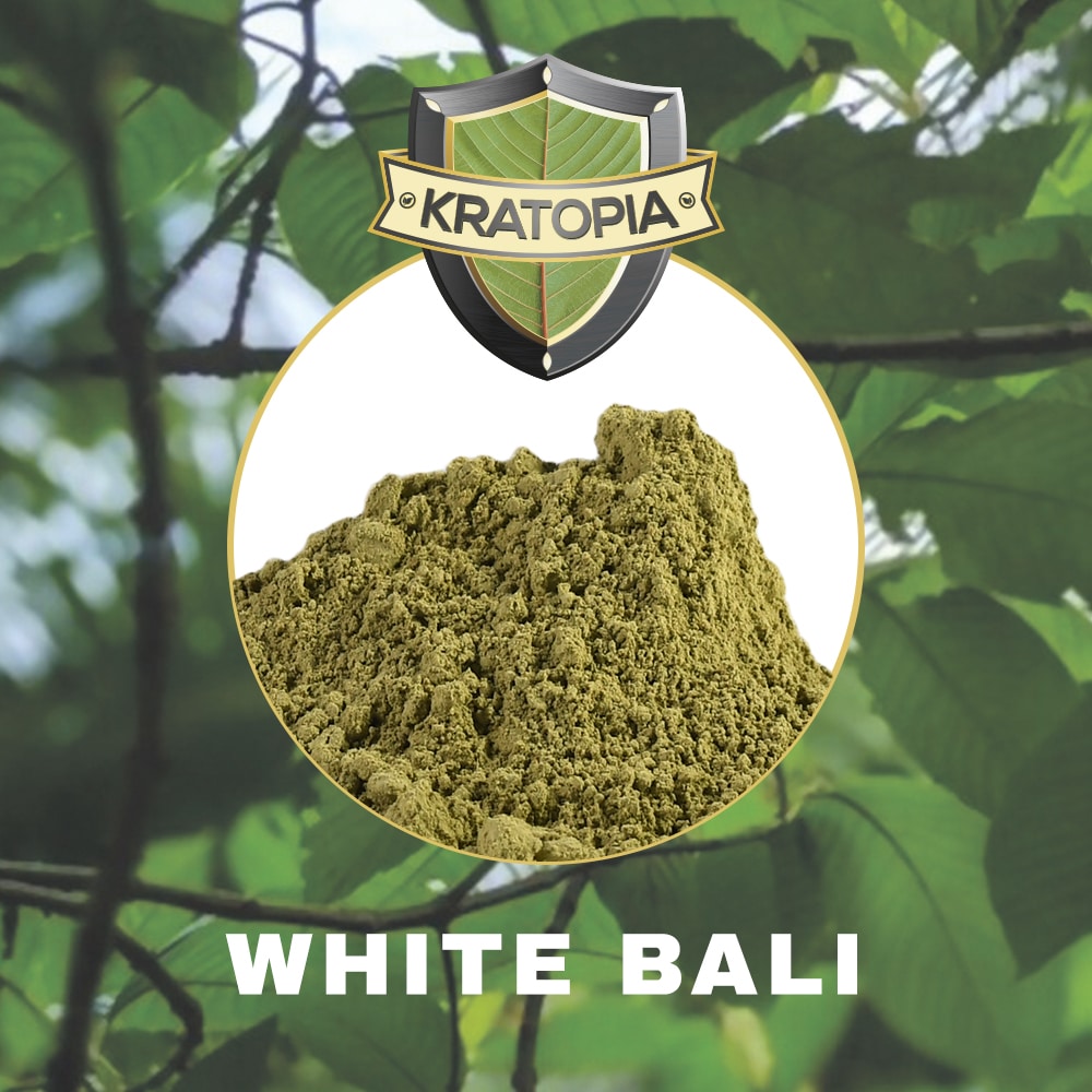 White Bali Kratom contents Kratopia