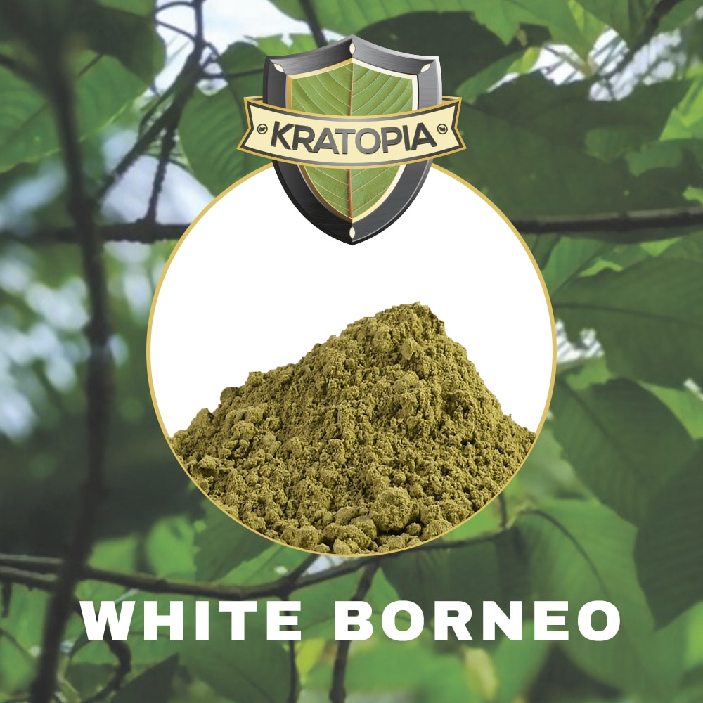 White Borneo Kratom – Vorderansicht + Inhalt Kratopia