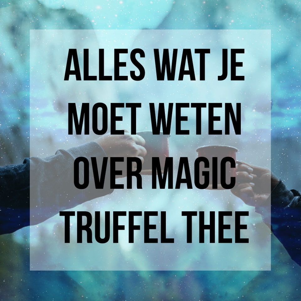 Magic Truffel Thee – Wszystko, co musisz wiedzieć