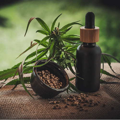 CBD como analgésico