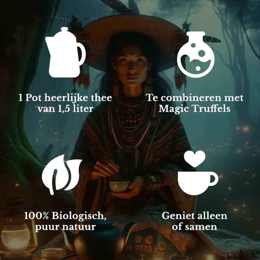 Presentazione dei vantaggi esclusivi di Magic Truffel Thee: 1) Ogni confezione permette di preparare 1 teiera di delizioso tè, pari a 1,5 litri, 2) Progettato per essere abbinato a Magic Truffels per un’esperienza ancora più intensa, 3) 100% Biologico, incarna la natura allo stato puro ad ogni sorso, 4) Perfetto per godersi un momento di relax da soli o in compagnia.