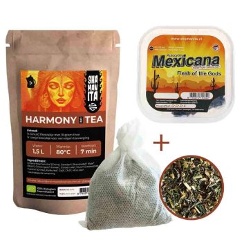 Kit introduttivo “Tè con Mexicana”: 10 grammi di tartufi magici e tè biologico Harmony, per chi si avvicina per la prima volta al mondo della magia.