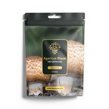 McMyco_Agaricus_blazei_makieta