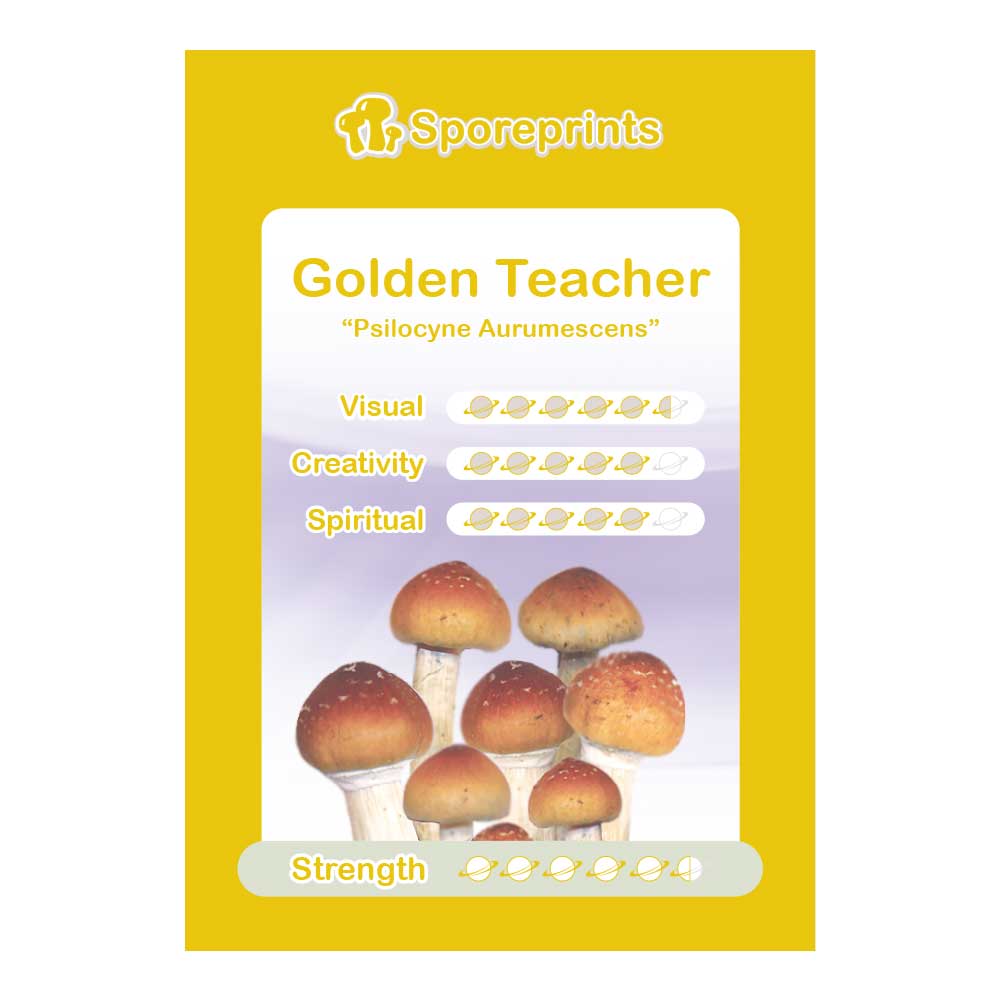 Golden Teacher Empreinte de spore 1