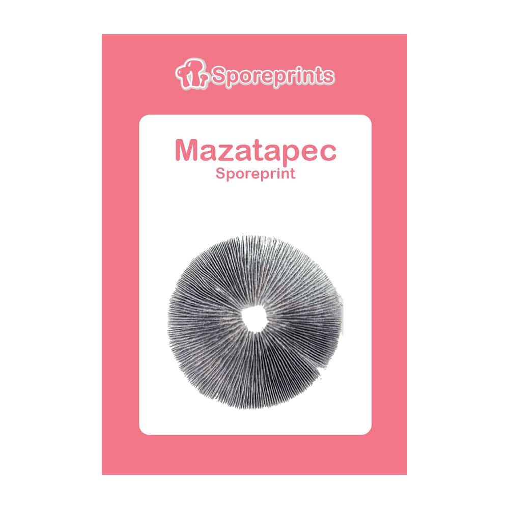 Mazatapec Sporeprint 2