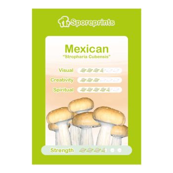 Empreinte de spores mexicaine 1