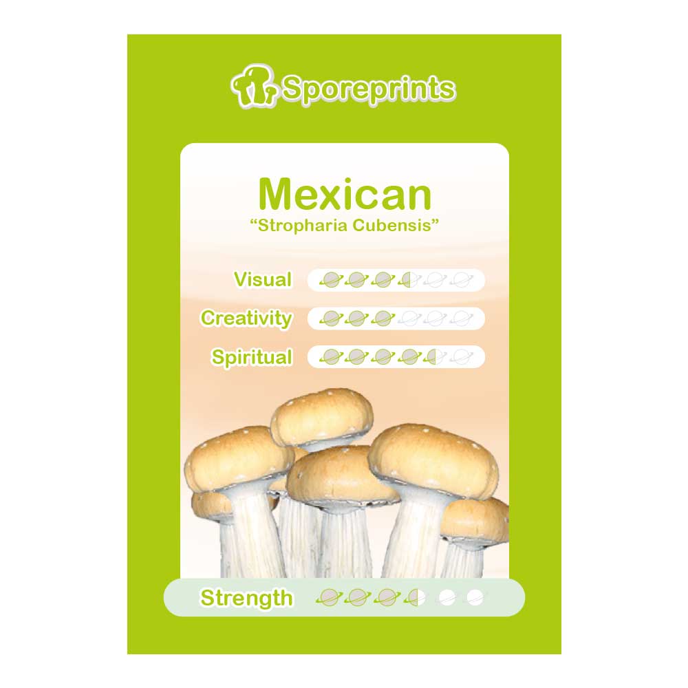 Empreinte de spores mexicaine 1