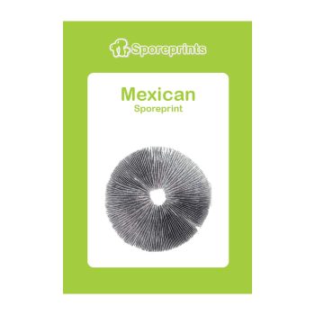 Empreinte de spores mexicaine 2