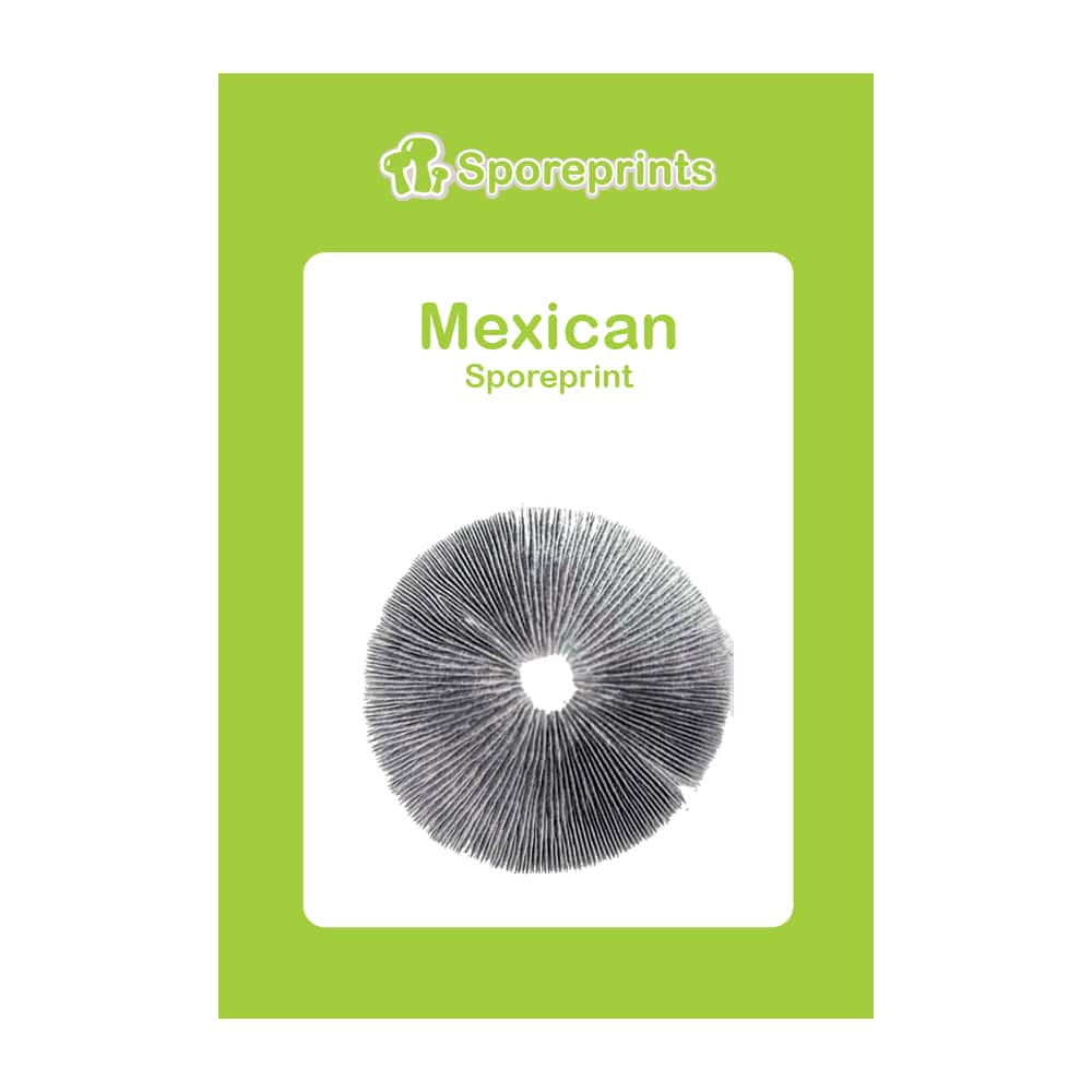 Empreinte de spores mexicaine 2