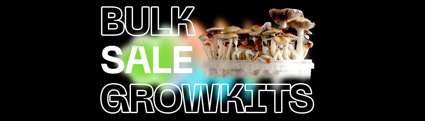 Bulkkorting op paddo growkits
