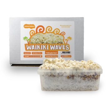 Waikiki Waves : vue de face complète
