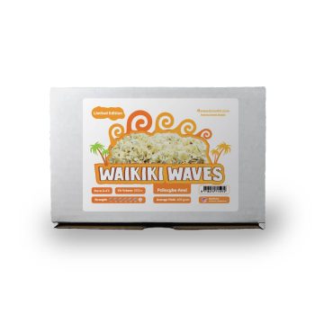 Waikiki Waves Front View Suite