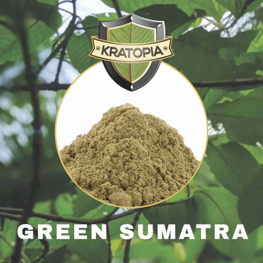 Green Sumatra – Inhalt