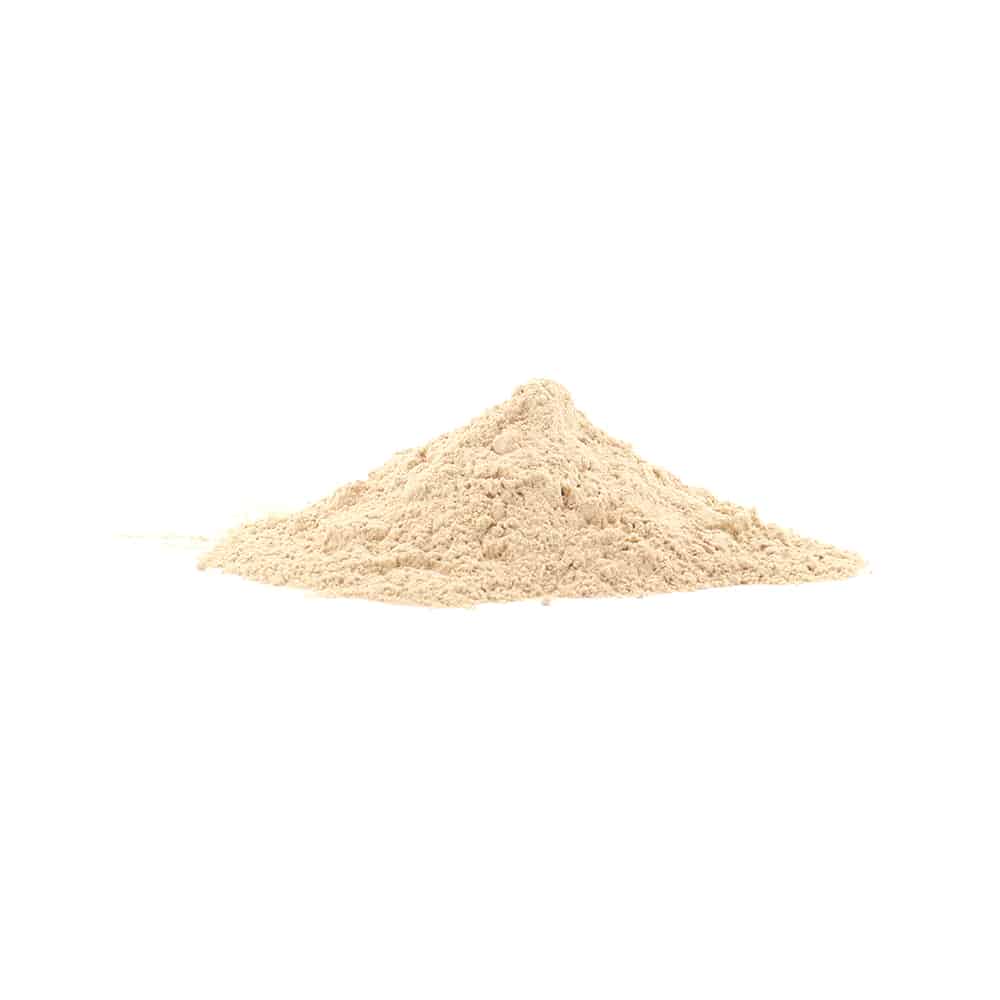 Lion's Mane 200 gram poeder