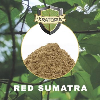 Contenido de Red Sumatra