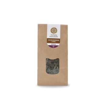 Salvia Divinorum, vue de face