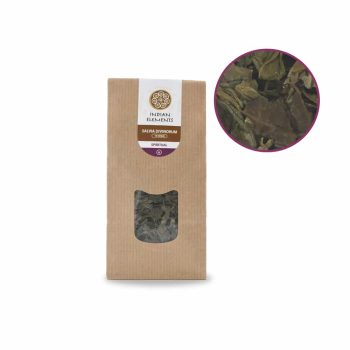 Salvia Divinorum Vue de face - Sommaire