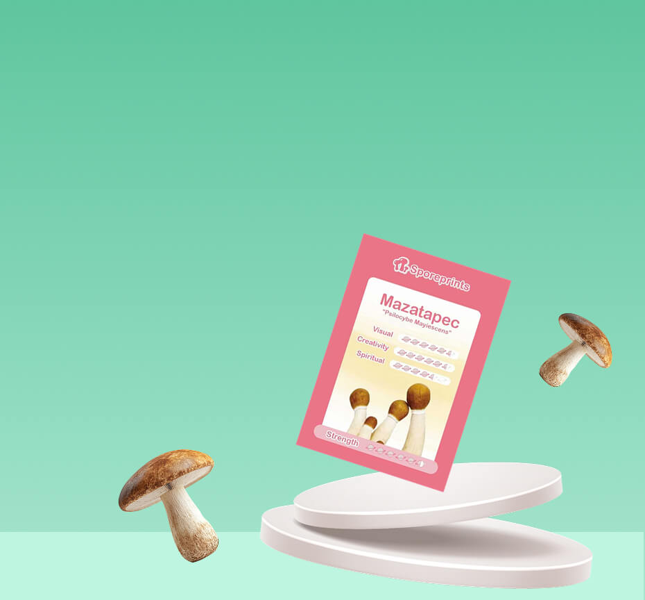 Shroomshop