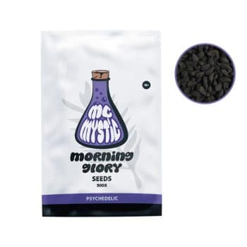 Morning Glory Seeds