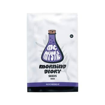 Morning Glory Seeds, productfoto 3