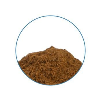 Wild Dagga 20X Extract, productfoto 2