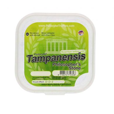 Tampanensis Magic Truffels (Psilocybe) smartific.nl