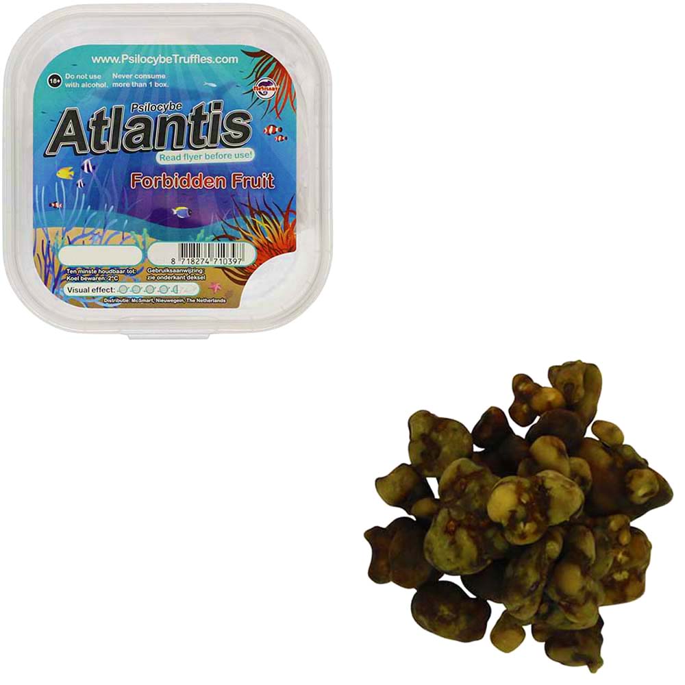 Atlantis Magische Truffels (Psilocybe) Smartific.nl