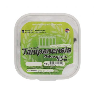 McSmart Tampanensis Psilocybe Magic Truffles (10 grams)