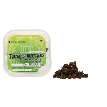 McSmart Tampanensis Psilocybe Magic Truffles (10 grams)