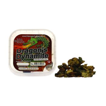 Dragons Dynamite Psilocybe Pajateros Magic Truffles