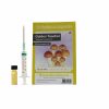 ✅ Culture Ampoule Golden Teacher Sporenspuit (Psilocybe Aurumescens) analyse - Magische Paddo's - Smartific.com