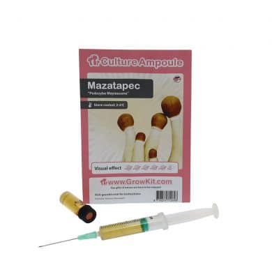 ✅ Culture Ampoule Mazatapec Sporenspuit (Psilocybe Mayiescens) analyse - Magische Paddo's - Smartific.com