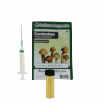 ✅ Culture Ampoule Cambodian Sporenspuit (Psilocybe Cambodiescens) analyse - Magische Paddo's - Smartific.com
