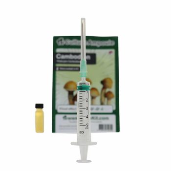 ✅ Culture Ampoule Cambodian Sporenspuit (Psilocybe Cambodiescens) analyse - Magische Paddo's - Smartific.com