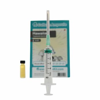 ✅ Culture Ampoule Hawaiian Sporenspuit (Copelandia Cyanescens) analyse - Magische Paddo's - Smartific.com