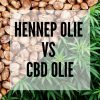 ✅ Hennep olie VS CBD Olie - blog post - Smartific