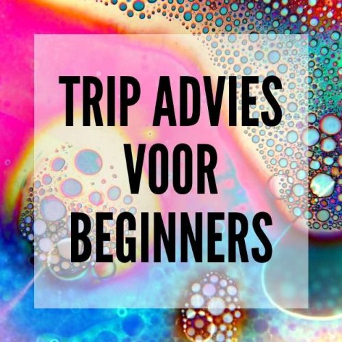 ✅ Trip advies voor beginners - Voorbereiden op je eerste Paddo of Magic Truffel trip- Blog post - Smartific
