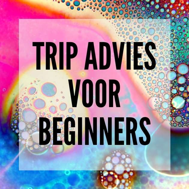 ✅ Trip advies voor beginners - Voorbereiden op je eerste Paddo of Magic Truffel trip- Blog post - Smartific