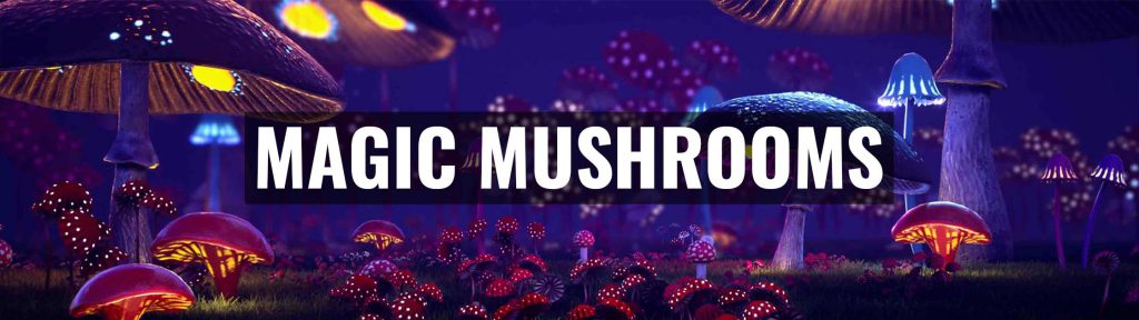 ✅ Magic Truffles - Magic mushrooms, truffles, Grow kits, spray spores and much more! - Smartific.com