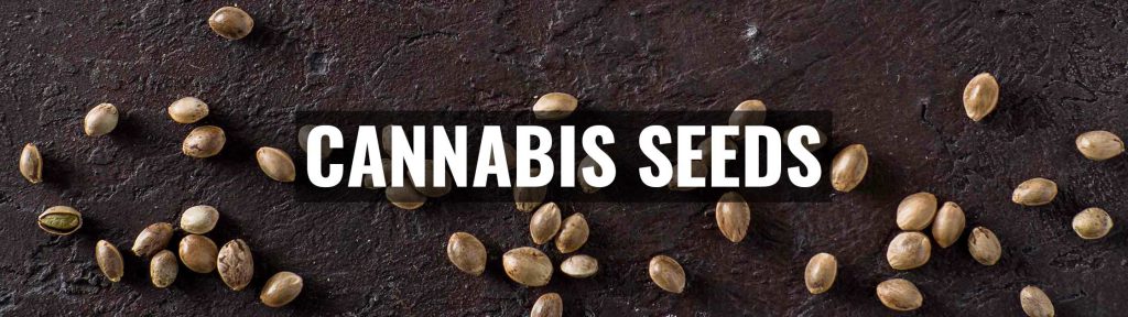 ✅ Cannabis seeds all products - weed, edibles, tips and much more! - Smartific.com