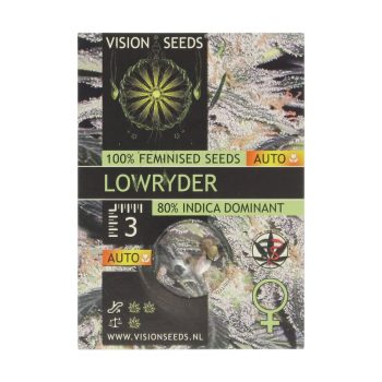 ? Vision Seeds Wietzaadjes Auto LOWRYDER Smartific 2014198/2014197