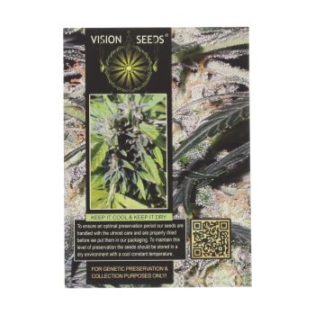 ? Vision Seeds Wietzaadjes Auto LOWRYDER Smartific 2014198/2014197