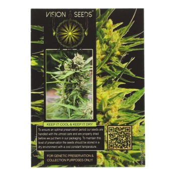 ? Vision Seeds Wietzaadjes Auto NORTHERN LIGHTS Smartific 2014200/2014199